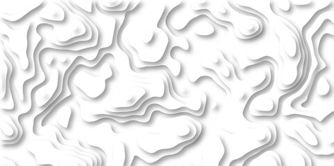 paper cut 3d render topography abstract ,beautiful white color palette colors, waves and layers, flat fiber structures, holes, macro texture digital art Pattern with lines and dots The stylized height