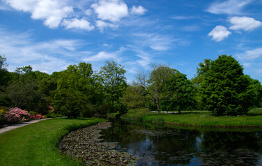 Lake in city park