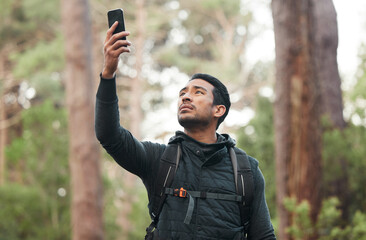 Phone, connection and man lost in nature for hiking, trekking and exercise in woods. Fitness,...