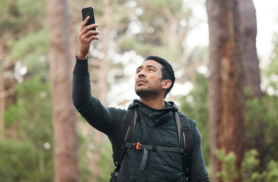 Phone, connection and man lost in nature for hiking, trekking and exercise in woods. Fitness, travel and person on smartphone with no signal for GPS, online location and digital map on adventure