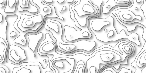 Fototapeta premium 3D Contour map background. Vector geography scheme and terrain. Topography grid map. Stylized topographic contour map. Geographic line mountain relief. Abstract lines or wavy backdrop background.