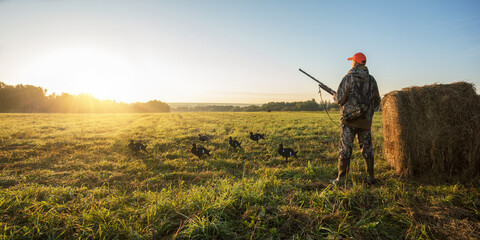 Hunter in camouflage with a gun hunting on black grouse at sunrise. Banner with copy space.