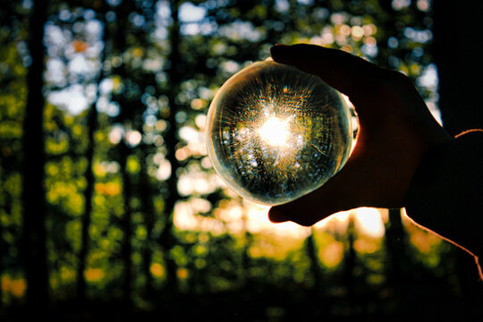 Glaskugel im glitzerndem Wald