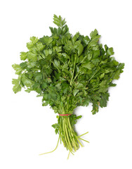 bunch of green parsley on white background