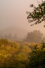 Obraz premium a dirt road to a field leading into the distance, during thick morning fog, illuminated by the rays of the sun