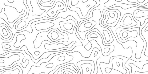 Contour map background. Vector geography scheme and terrain. Topography grid map. Stylized topographic contour map. Geographic line mountain relief. Abstract lines or wavy backdrop background.