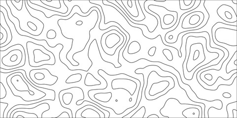 Contour map background. Vector geography scheme and terrain. Topography grid map. Stylized topographic contour map. Geographic line mountain relief. Abstract lines or wavy backdrop background.