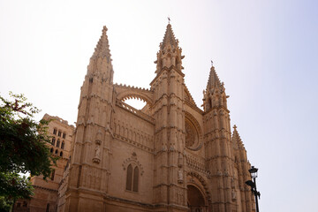 Front-side view of Gothic Cathedral of Mallorca in Plama