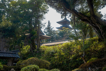 Fototapeta na wymiar 能登 妙成寺 書院庭園から望む五重塔