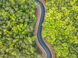 Top view the road winds through the forest.