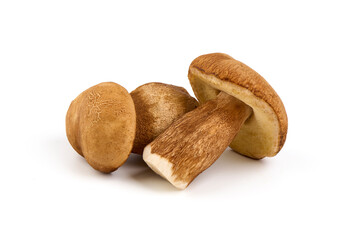 Forest mushrooms - Boletus edulis, isolated on white background.