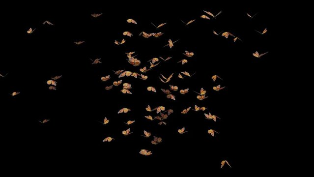 Butter Moths Element with Alphac Channel