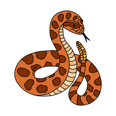 Fototapeta premium Hand drawn snake with rattle doodle with outline. Jungle or zoo rattlesnake standing in action with tongue out. Tropical or Wild West poison viper in front view. Vector green dangerous serpent.