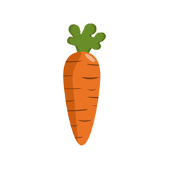 Cartoony carrot. Vector simple design. Autumn vegetable, vegetarian food.