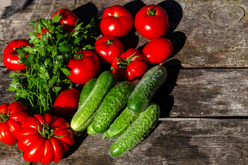Fresh tomatoes, cucumbers and parsley on an old wooden table. Summer harvest in the garden