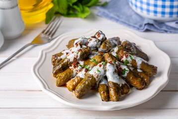 Traditional delicious Turkish foods; stuffed leaves (yaprak sarmasi)