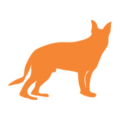 fox vector