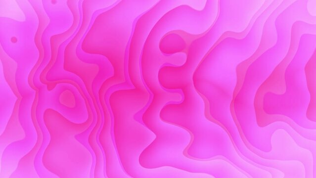 pink color wavy gradient line. Geometric pattern line waving animation. e_969