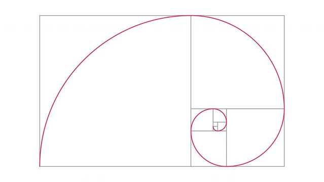 Fibonacci Sequence golden ratio animation with red lines grid and shapes on white background. Flat animation