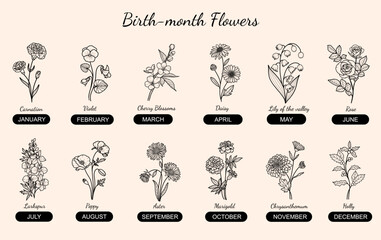 12 Birthmonth Flower Hand-drawn Collection, Rose, Carnation, Violet, Poppy, Holly, Daffodil