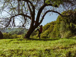 Little girl traveler climbing on tree forest Carpathian mountains peak Zakarpattya village, Ukraine, Europe. Child walks on green lawn scenic landscape sunny day. Eco Local countryside tourism. Hiking