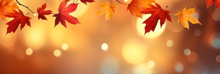 Tree branch with autumn leaves on a blurred background.Fall, autumn, leaves background.banner.copy space