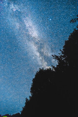 bright milky way against a blue sky, with black silhouettes of trees in the foreground