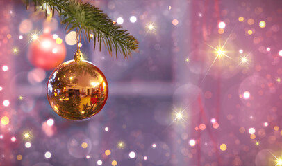 Fototapeta premium Christmas ball on fir tree branch isolated on blur background.