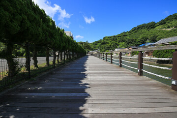 愛媛県八幡浜市　もっきんろーどの風景
