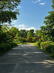 Japan park