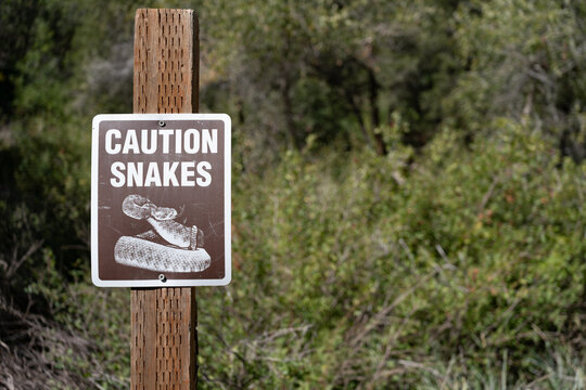 Snake caution sign at remote camping location
