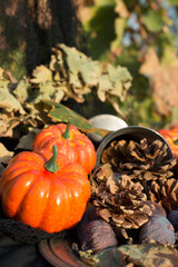 background with pumpkin, cup, wheat, figs, pine nuts.
decoration for fall, halloween and thanksgiving