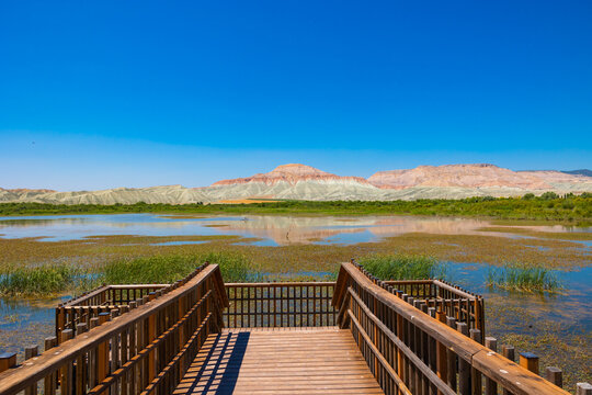 Nallihan Bird Sanctuary or Nallihan Kus Cenneti in Ankara