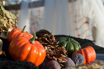 background with pumpkin, cup, wheat, figs, pine nuts.
decoration for fall, halloween and...