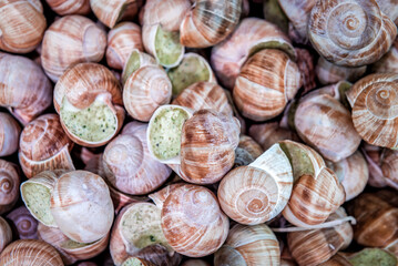 Frozen grape snail on counter in a store texture