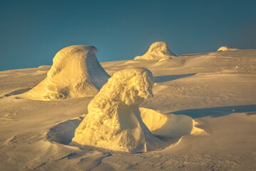 Winter in mountains, snow-covered fir trees, wrapped in snow at sunset