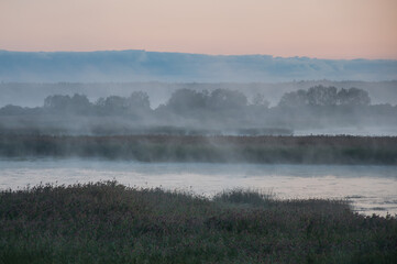 Obraz na płótnie Canvas Early morning fog in the reeds of Kokemäenjoki river delta in Pori, Finland