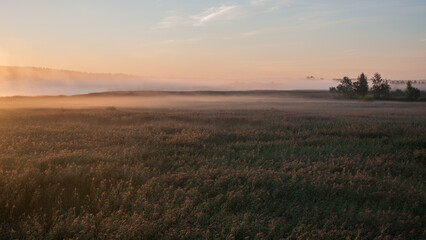 Fototapeta na wymiar Early morning fog in the reeds of Kokemäenjoki river delta in Pori, Finland