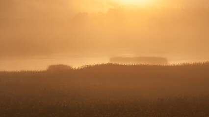 Obraz na płótnie Canvas Sunrise and early morning fog in the Kokemäenjoki river delta in Pori, Finland