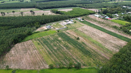 Aerial view of green fields and farmlands in rural Thailand.