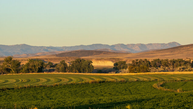 summer landscape in wyoming © James