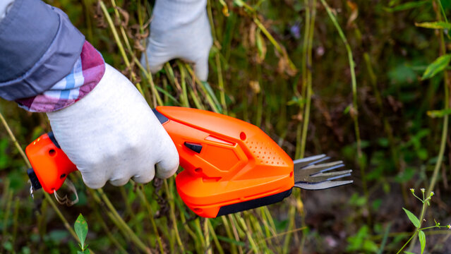 a female gardener's hand holds an electric small brush cutter