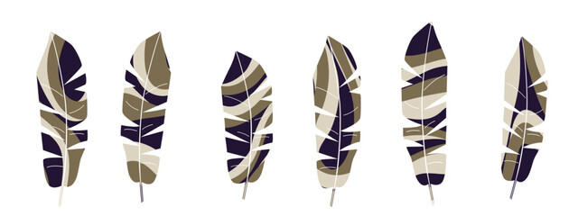 Hand drawn minimal stylized banana leaf shapes. Elements for design silhouettes organic modern. Fashionable print for a T-shirt.