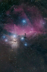 Fototapeta na wymiar Horse head nebula, flame nebula