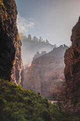 Tenerife canyon national park