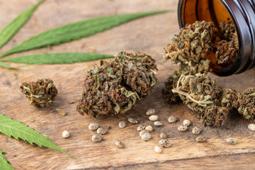 Dried female buds of marijuana flowers with hemp leaves. Cannabis weed bud lying on wooden table.
