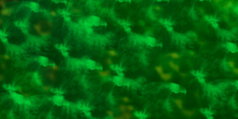 Fototapeta na wymiar abstract background texture of green fibers with yellow spots