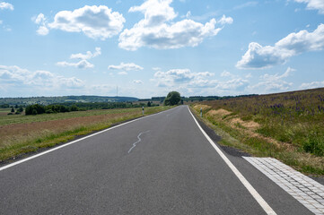 Fototapeta premium A road in nature
