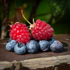 raspberries and blueberries