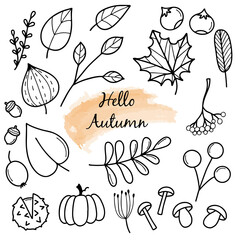 Fototapeta premium Hello Autumn. Autumn harvest symbols. Set of autumn elements: leaves, berries, fruits, vegetables, mushrooms, acorns. Hand-drawn, sketch. Vector illustration in doodle style